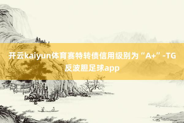 开云kaiyun体育赛特转债信用级别为“A+”-TG反波胆足球app