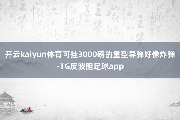 开云kaiyun体育可挂3000磅的重型导弹好像炸弹-TG反波胆足球app