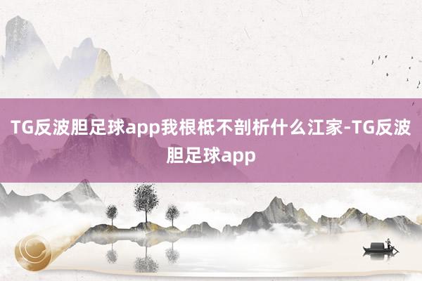 TG反波胆足球app我根柢不剖析什么江家-TG反波胆足球app