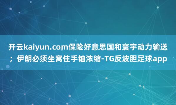 开云kaiyun.com保险好意思国和寰宇动力输送；伊朗必须坐窝住手铀浓缩-TG反波胆足球app