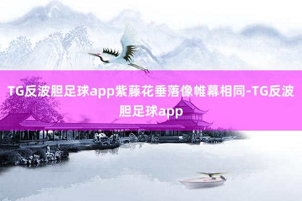 TG反波胆足球app紫藤花垂落像帷幕相同-TG反波胆足球app