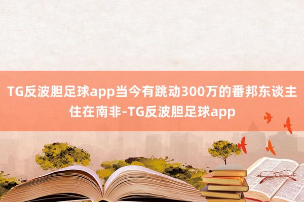 TG反波胆足球app当今有跳动300万的番邦东谈主住在南非-TG反波胆足球app