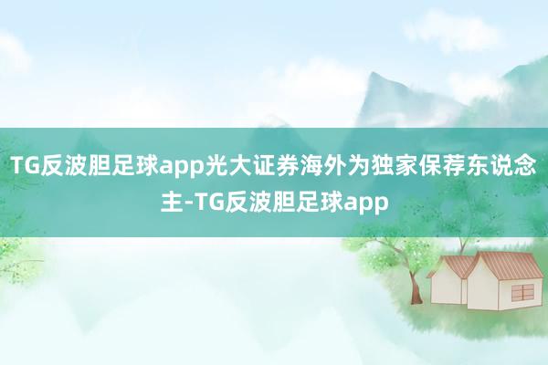 TG反波胆足球app光大证券海外为独家保荐东说念主-TG反波胆足球app