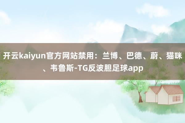 开云kaiyun官方网站禁用：兰博、巴德、蔚、猫咪、韦鲁斯-TG反波胆足球app