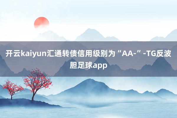 开云kaiyun汇通转债信用级别为“AA-”-TG反波胆足球app