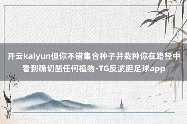 开云kaiyun但你不错集合种子并栽种你在路径中看到确切凿任何植物-TG反波胆足球app