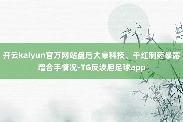 开云kaiyun官方网站盘后大豪科技、千红制药暴露增合手情况-TG反波胆足球app