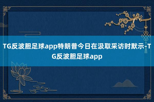 TG反波胆足球app特朗普今日在汲取采访时默示-TG反波胆足球app