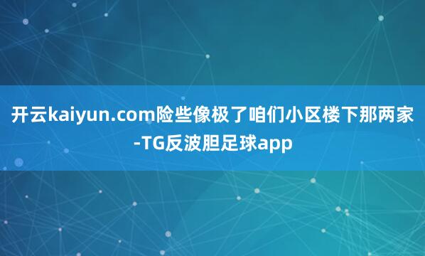 开云kaiyun.com险些像极了咱们小区楼下那两家-TG反波胆足球app