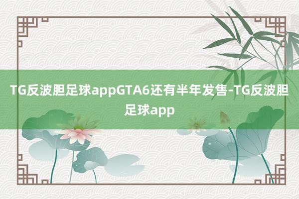TG反波胆足球appGTA6还有半年发售-TG反波胆足球app