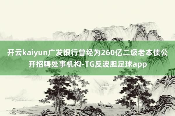 开云kaiyun广发银行曾经为260亿二级老本债公开招聘处事机构-TG反波胆足球app