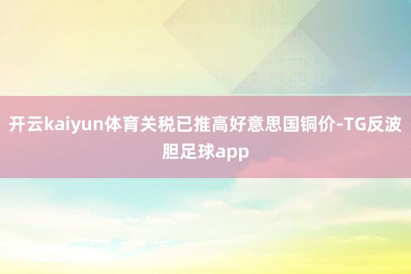 开云kaiyun体育关税已推高好意思国铜价-TG反波胆足球app