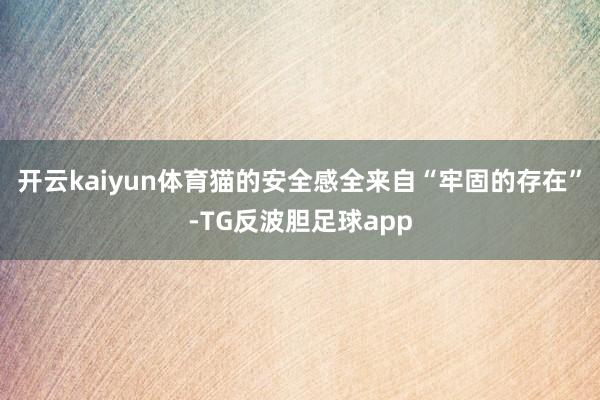 开云kaiyun体育猫的安全感全来自“牢固的存在”-TG反波胆足球app
