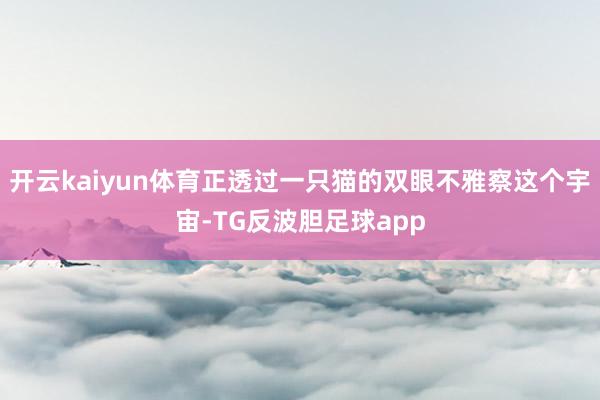 开云kaiyun体育正透过一只猫的双眼不雅察这个宇宙-TG反波胆足球app