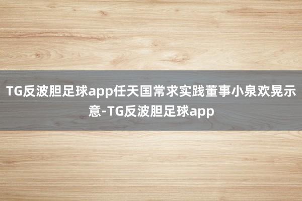 TG反波胆足球app任天国常求实践董事小泉欢晃示意-TG反波胆足球app