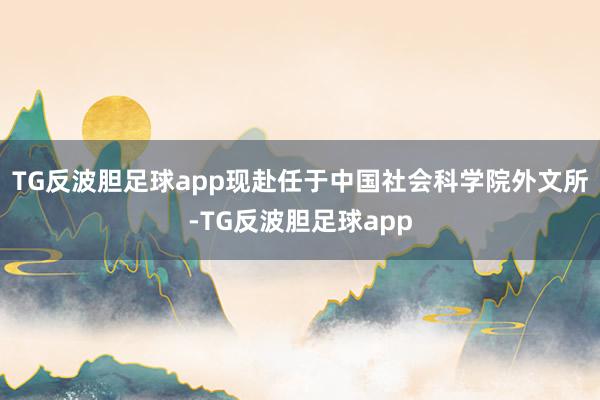 TG反波胆足球app现赴任于中国社会科学院外文所-TG反波胆足球app