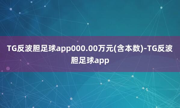 TG反波胆足球app000.00万元(含本数)-TG反波胆足球app