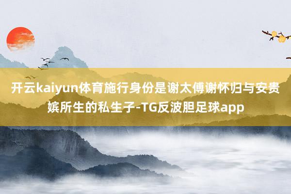 开云kaiyun体育施行身份是谢太傅谢怀归与安贵嫔所生的私生子-TG反波胆足球app