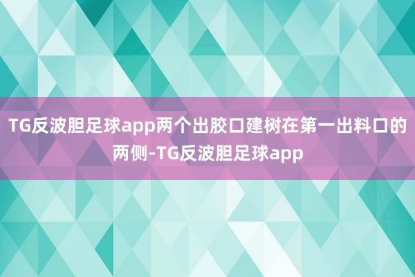 TG反波胆足球app两个出胶口建树在第一出料口的两侧-TG反波胆足球app