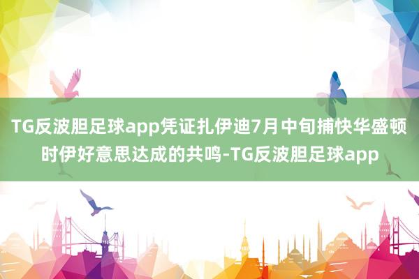 TG反波胆足球app凭证扎伊迪7月中旬捕快华盛顿时伊好意思达成的共鸣-TG反波胆足球app
