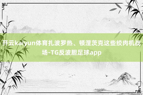 开云kaiyun体育扎波罗热、顿涅茨克这些绞肉机战场-TG反波胆足球app