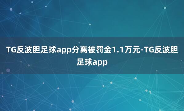 TG反波胆足球app分离被罚金1.1万元-TG反波胆足球app
