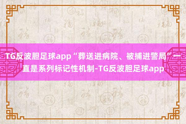 TG反波胆足球app“葬送进病院、被捕进警局”一直是系列标记性机制-TG反波胆足球app