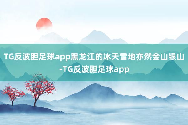 TG反波胆足球app黑龙江的冰天雪地亦然金山银山-TG反波胆足球app