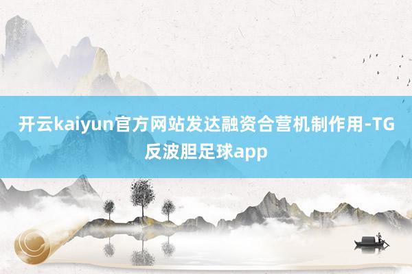 开云kaiyun官方网站发达融资合营机制作用-TG反波胆足球app