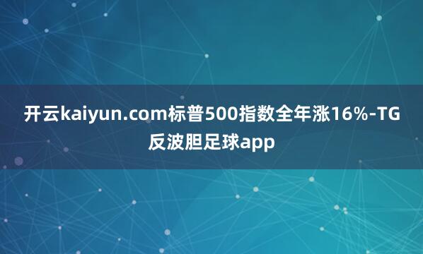 开云kaiyun.com标普500指数全年涨16%-TG反波胆足球app