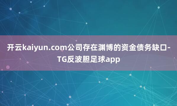 开云kaiyun.com公司存在渊博的资金债务缺口-TG反波胆足球app