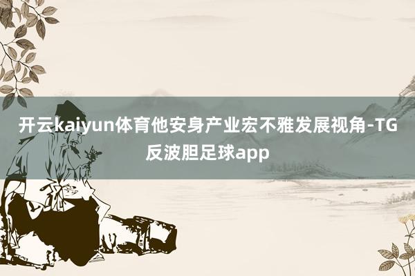 开云kaiyun体育他安身产业宏不雅发展视角-TG反波胆足球app