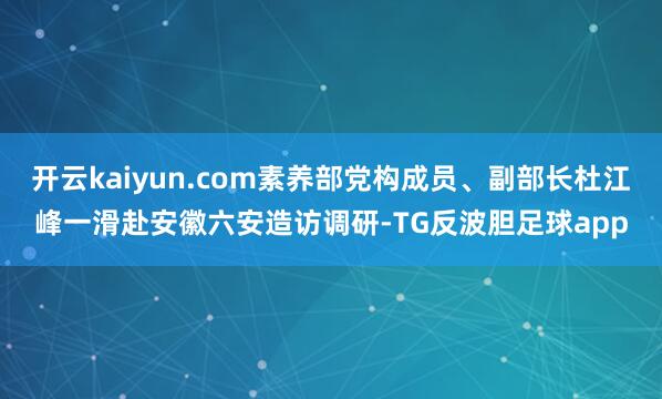 开云kaiyun.com素养部党构成员、副部长杜江峰一滑赴安徽六安造访调研-TG反波胆足球app